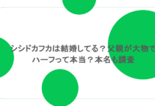 シシドカフカは結婚してる?父親が大物でハーフって本当?本名も調査 シシドカフカは結婚してる?父親が大物でハーフって本当?本名も調査