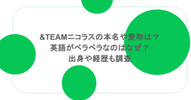 &TEAMニコラスの本名や愛称は？英語がペラペラなのはなぜ？出身や経歴も調査